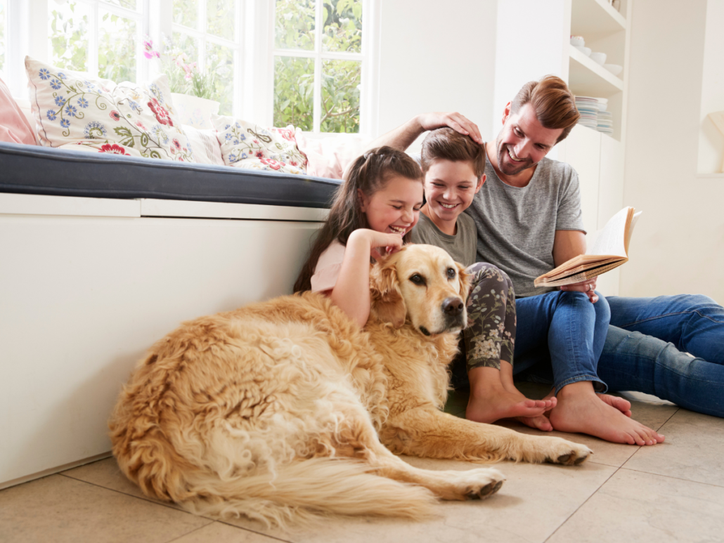 pets-are-family